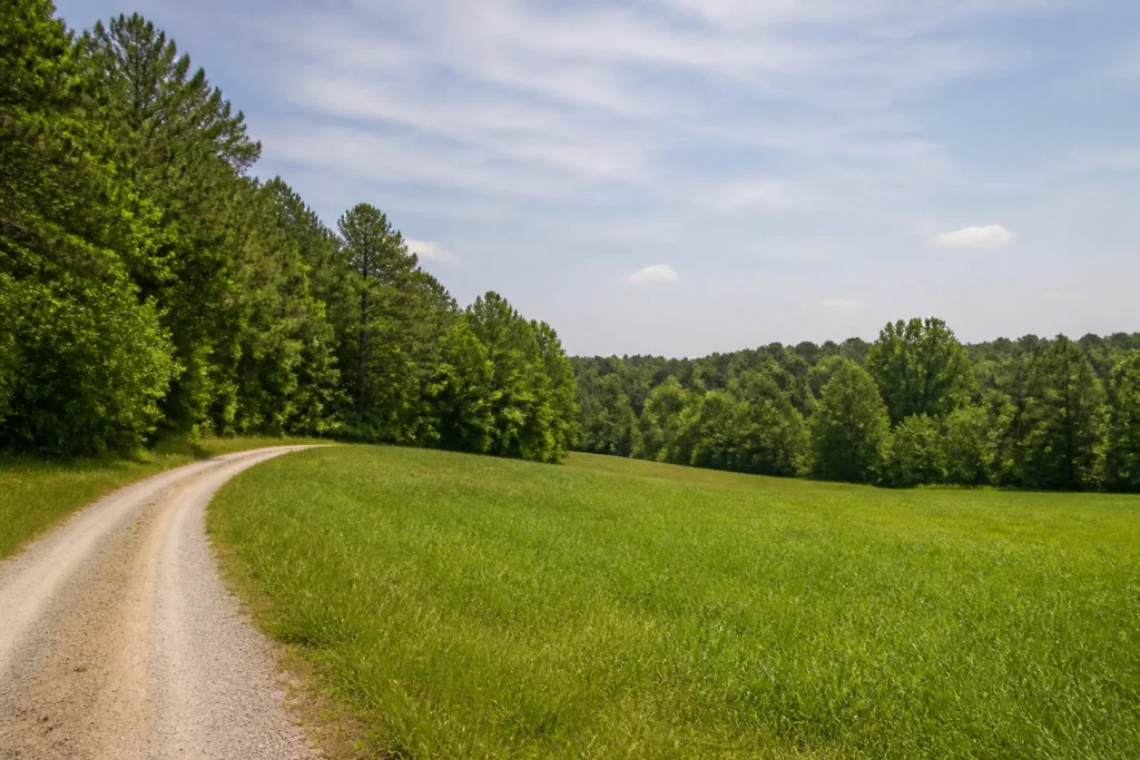Illustrative rural land inspired by Amite County, Mississippi