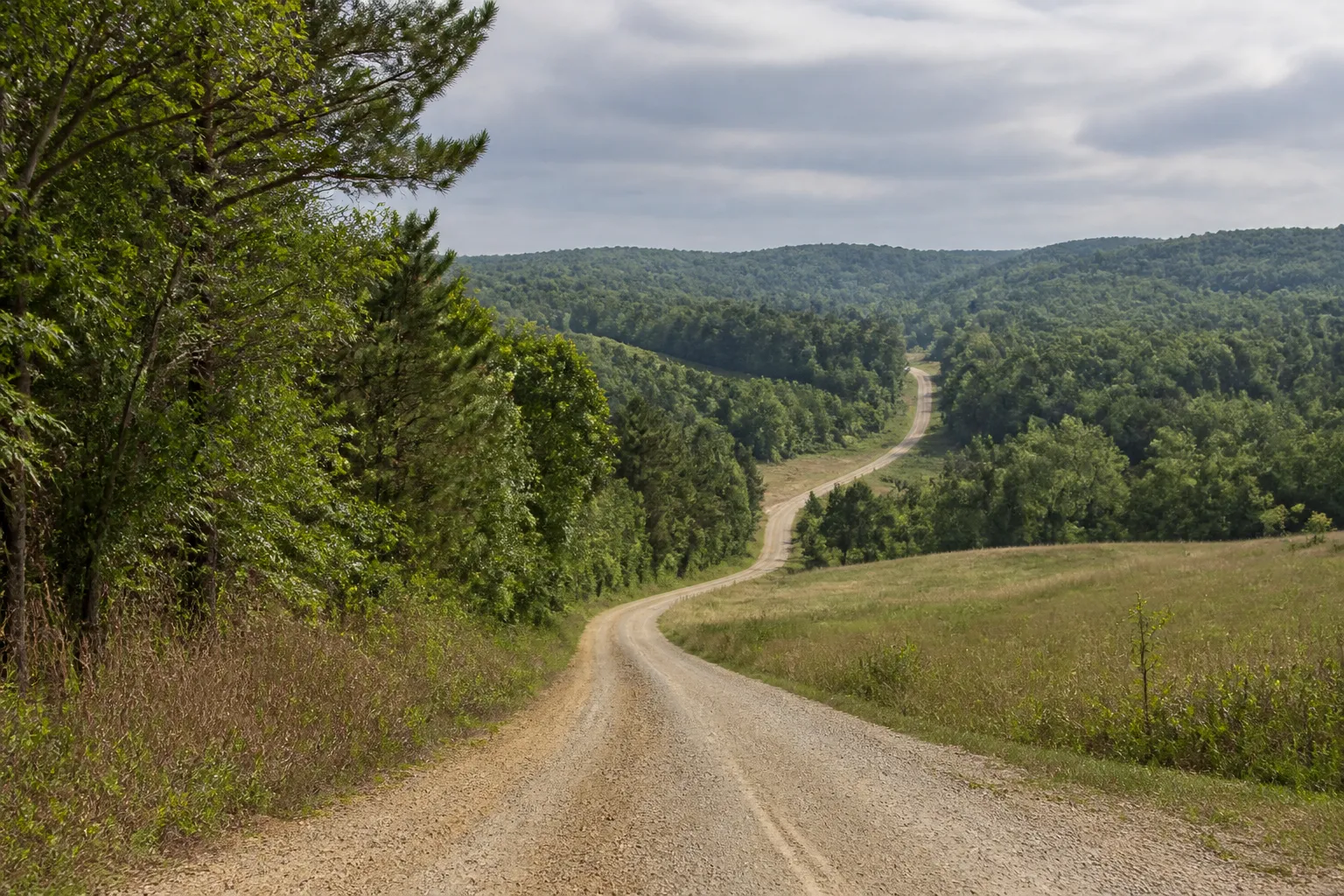 Illustrative rural gravel road through rolling wooded terrain in central Mississippi, not a specific Attala County route