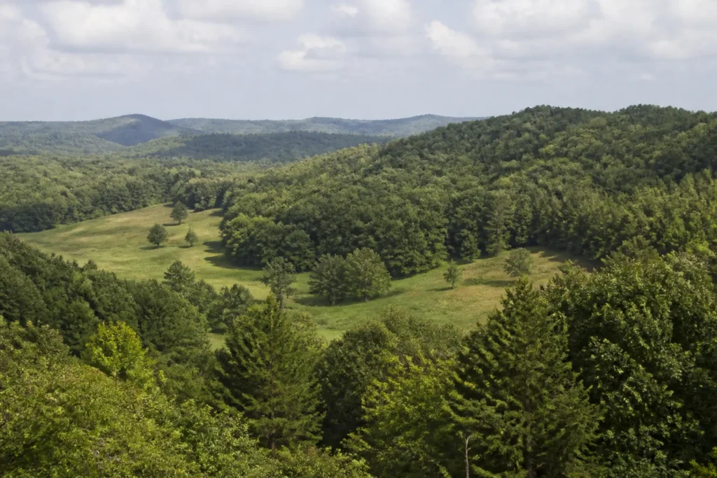 Illustrative rural land inspired by Attala County, Mississippi