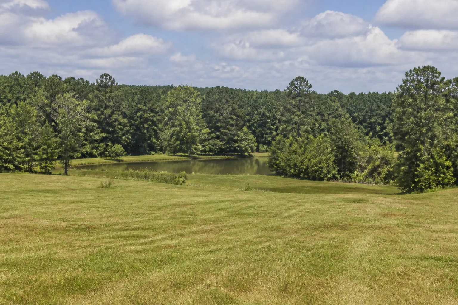 Illustrative north Mississippi pasture, timberline, and small pond, not a specific parcel