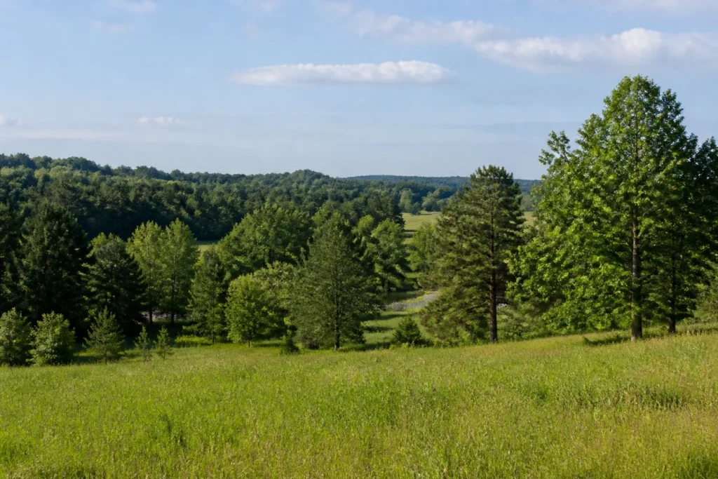 Illustrative rural land inspired by Benton County, Mississippi