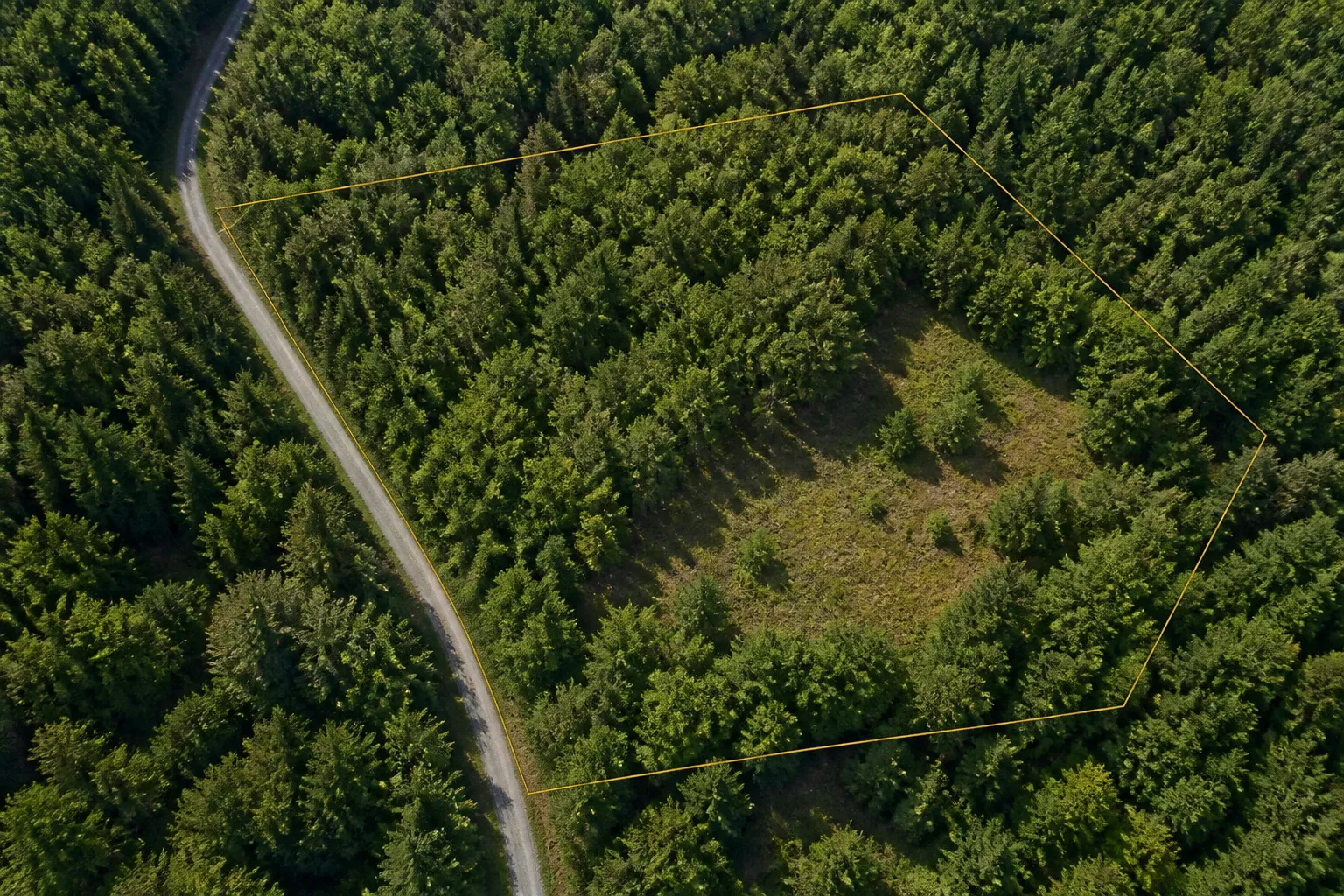 Aerial Wooded Parcel Boundary Visual