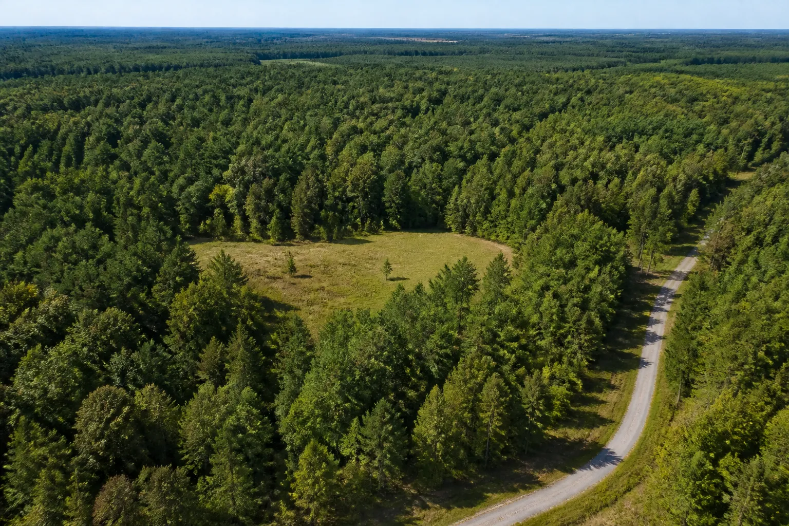 Wooded Rural Acreage With Road Access