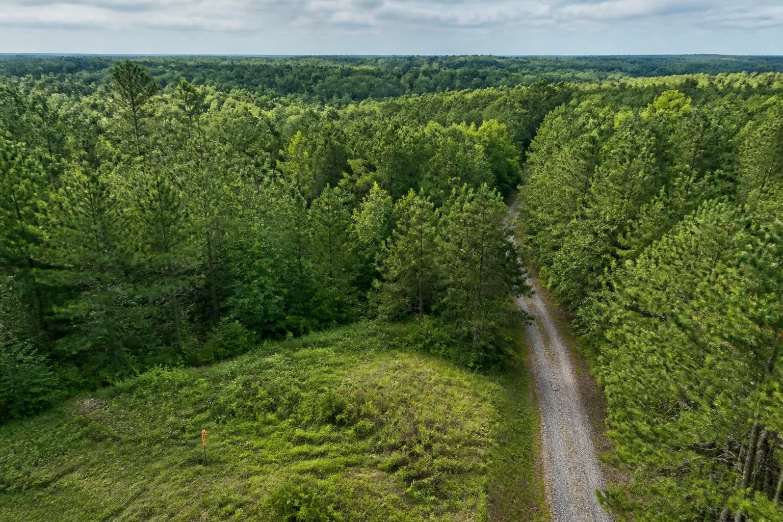 Mississippi Rural Parcel Boundary