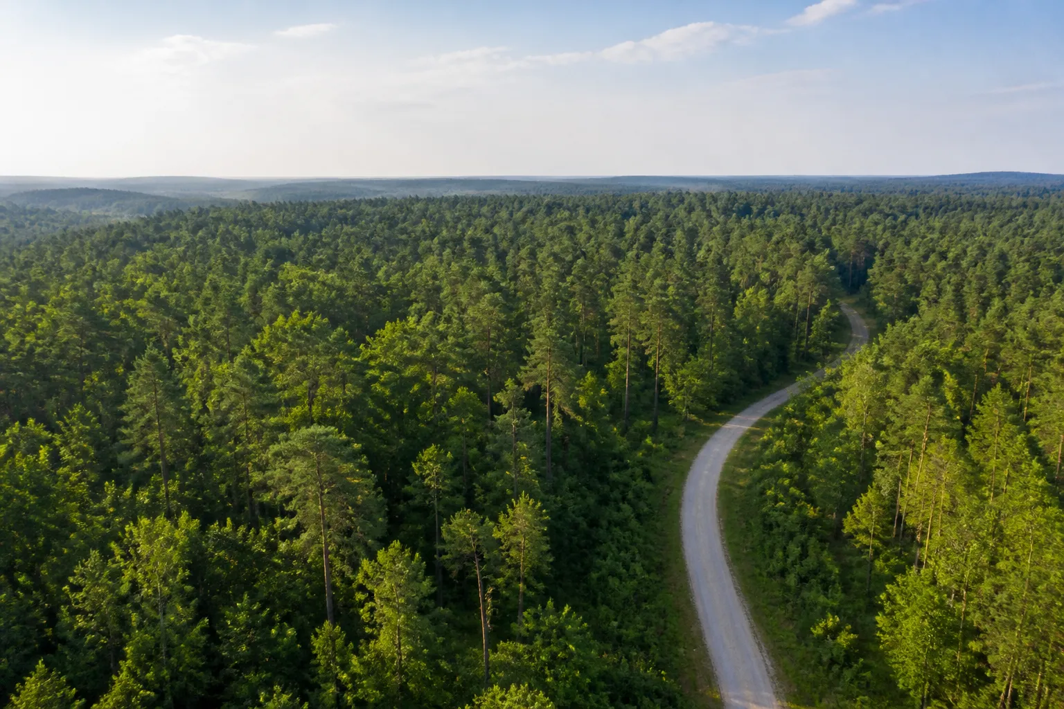 Mississippi Wooded Rural Acreage