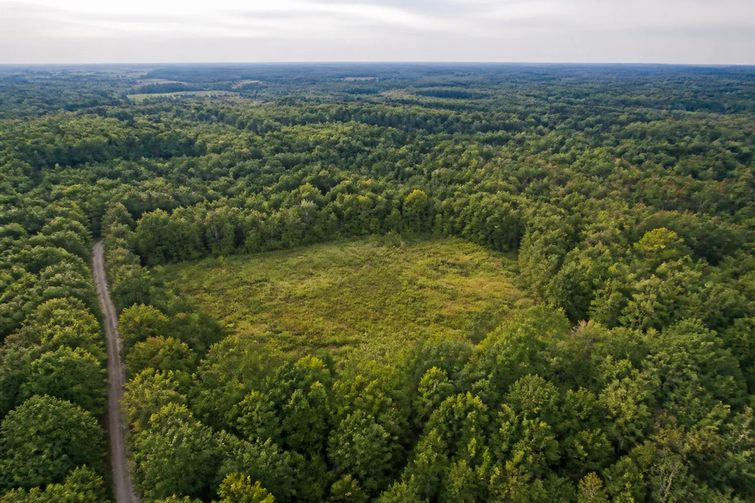 Direct Mail Letter Page Hero Wooded Acreage