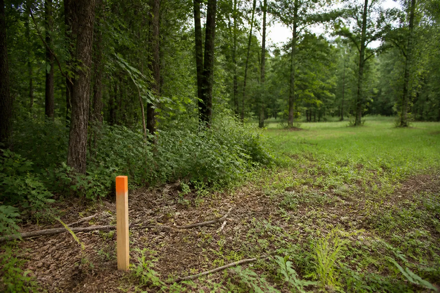 Wooded Parcel Boundary Stake