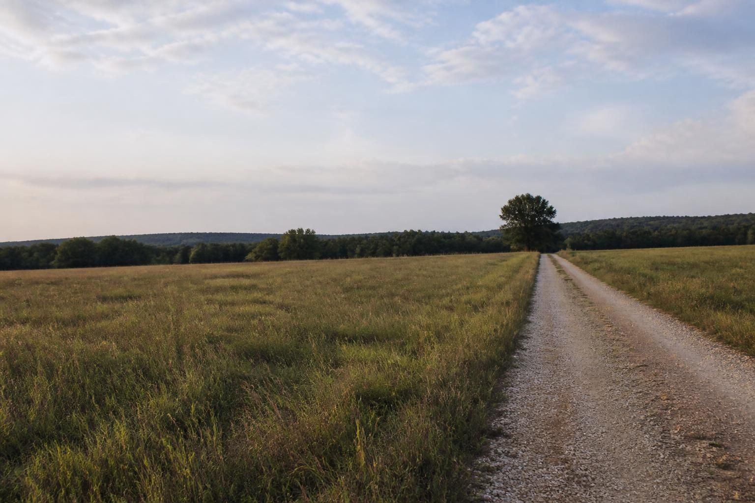 Wide view of a quiet rural land parcel with open space.