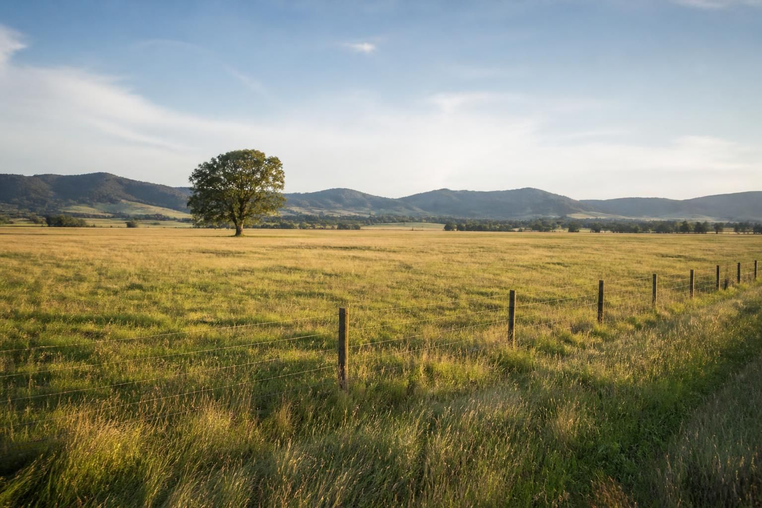 Large acreage parcel with broad open fields and a fence line.