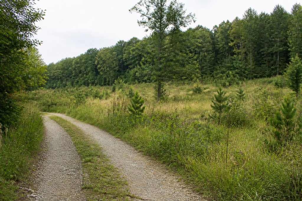 Sell Land You No Longer Use