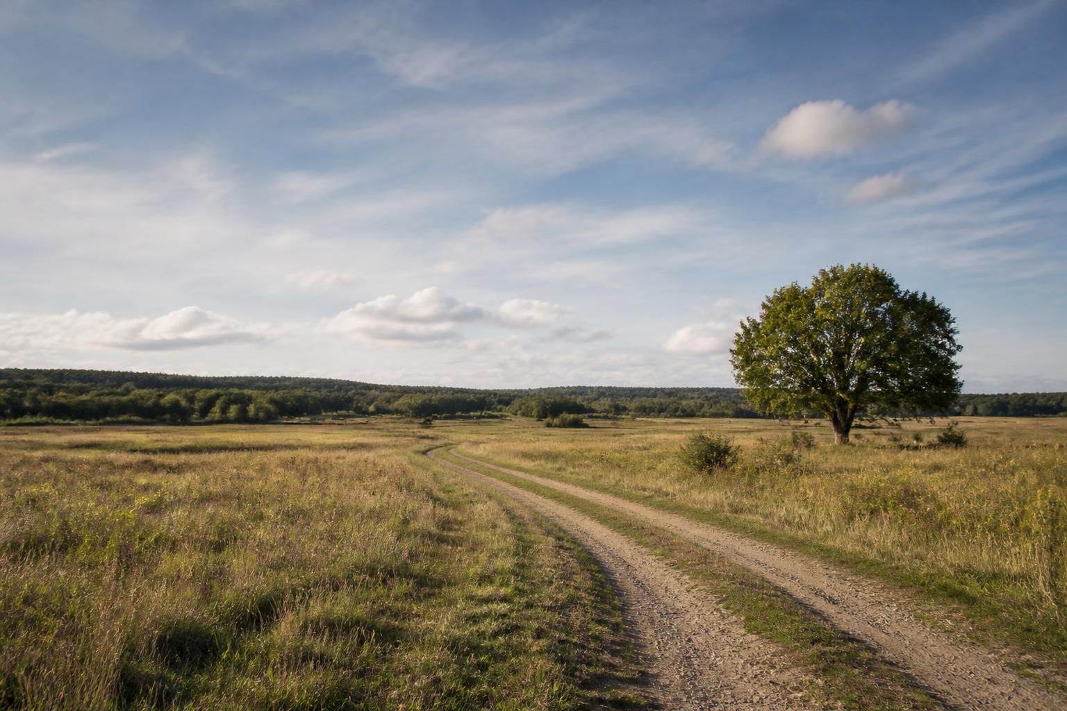 Open rural land with a dirt track and wide sky.
