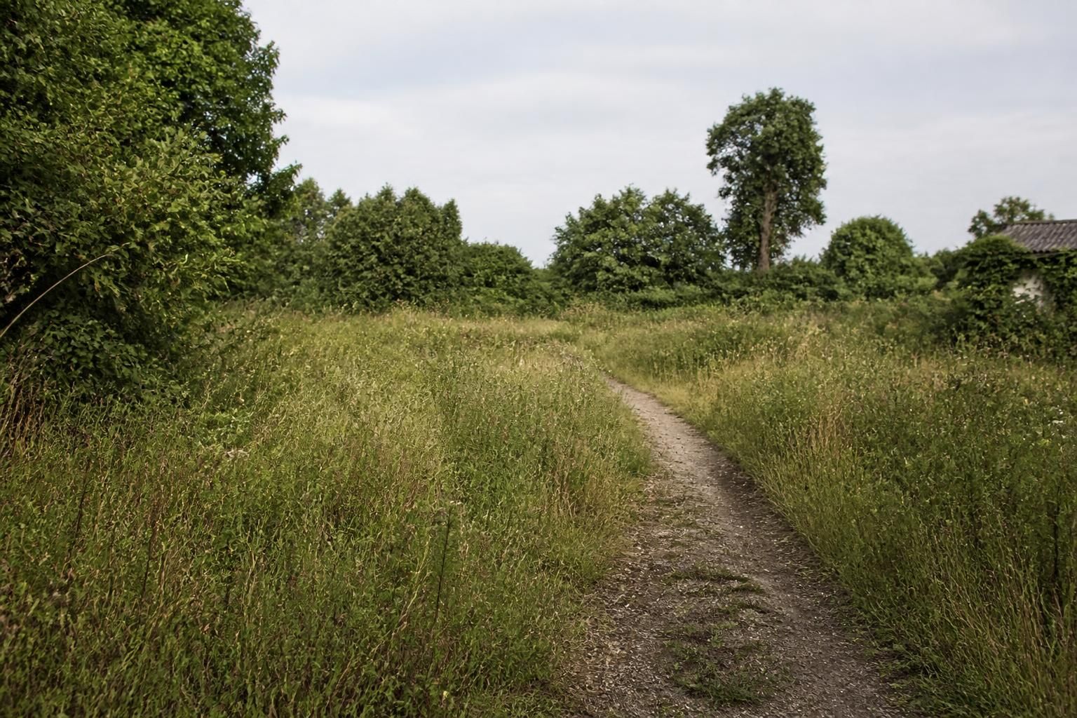 Overgrown unused parcel with a simple dirt access path.