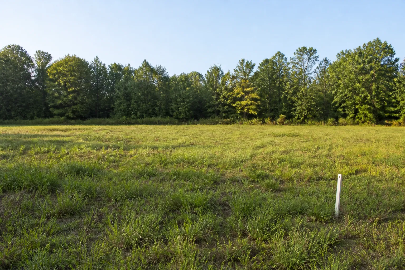 Vacant Parcel with Boundary Stake