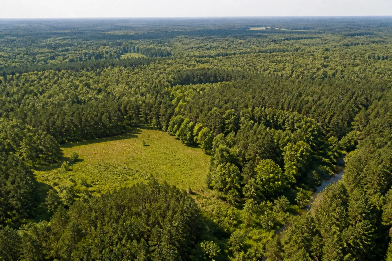 Illustrative aerial view of forested acreage and small clearings inspired by southeastern Mississippi